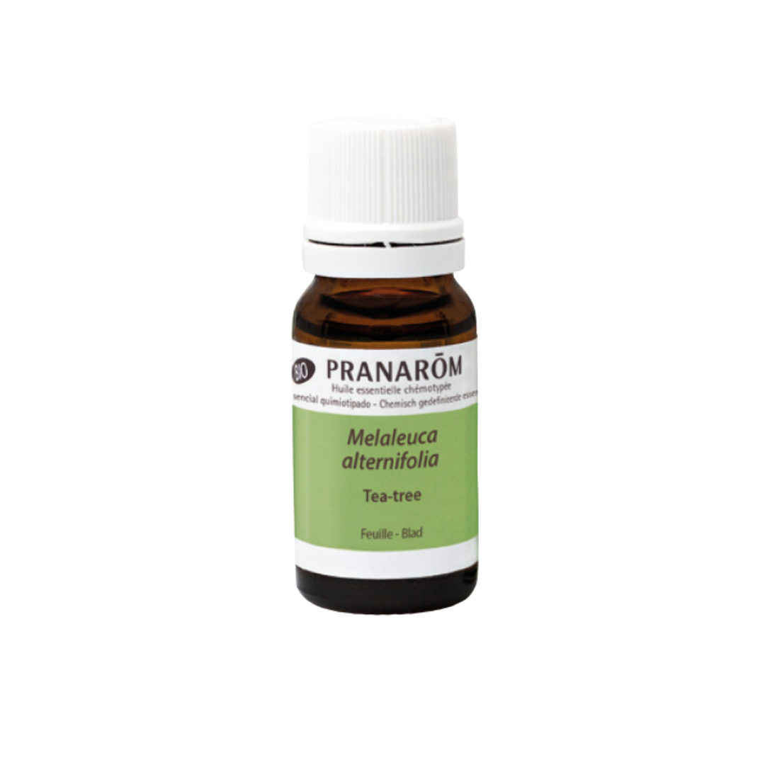 Huile essentielle de Tea Tree